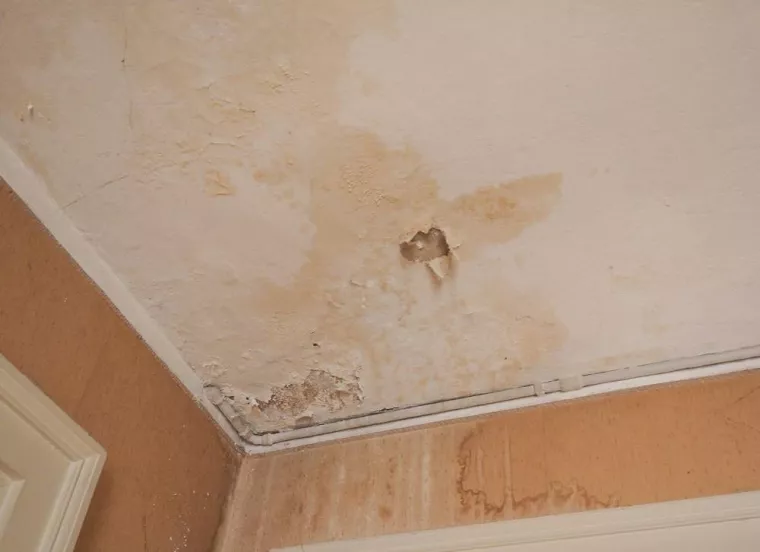 Comment éviter les infiltrations d'eau par toiture dans une villa ?, Bastia, MB Couvreur
